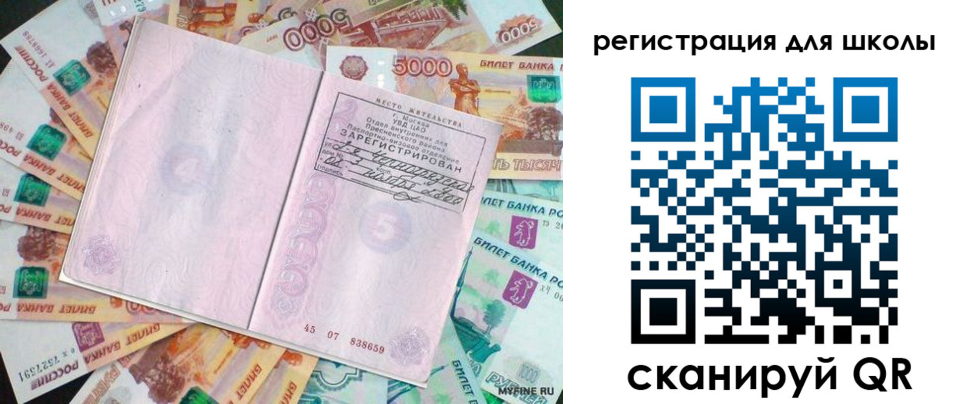прописка для школы в Химках